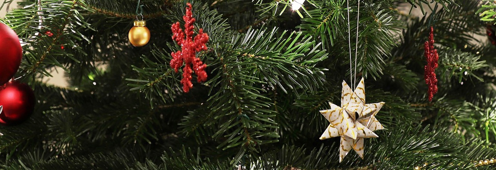 Christmas Tree Large